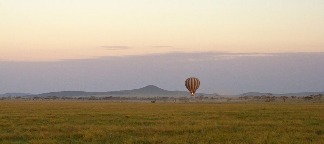 Ballong Safari