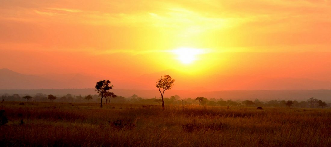 Mikumi National Park