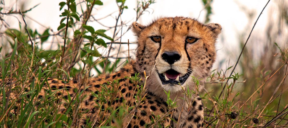 Serengeti National Park