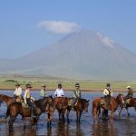 Horse safari kilimanjaro