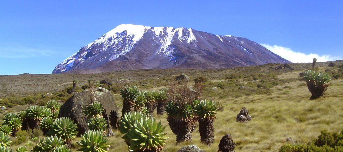 Kilimanjaro side