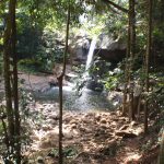 Rainforest Udzungwa cascade