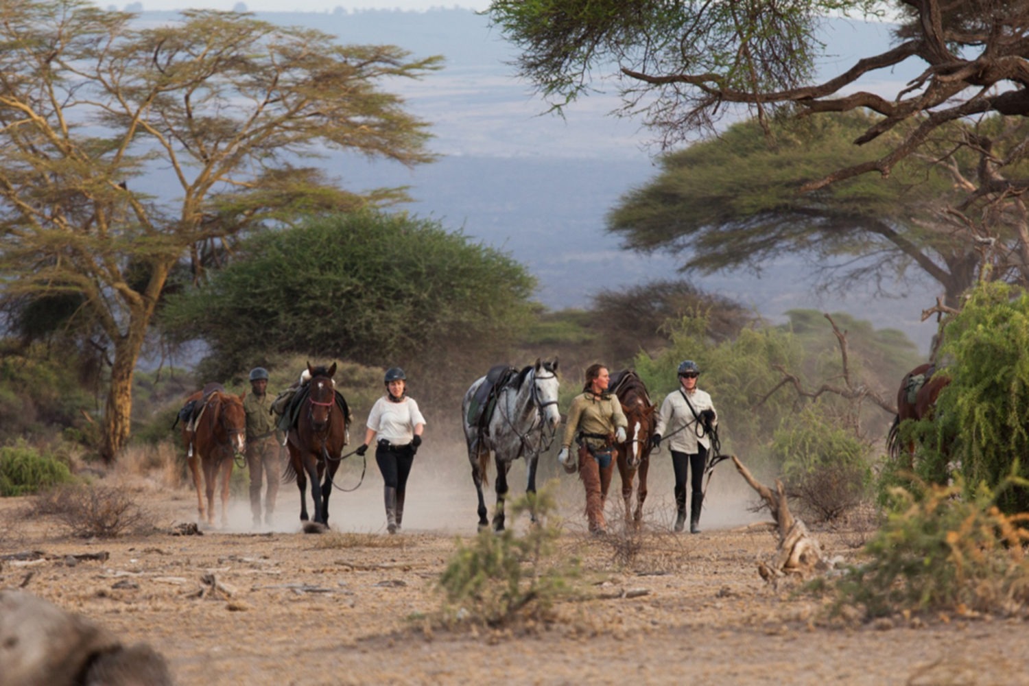 beste tiden å dra på safari i Tanzania