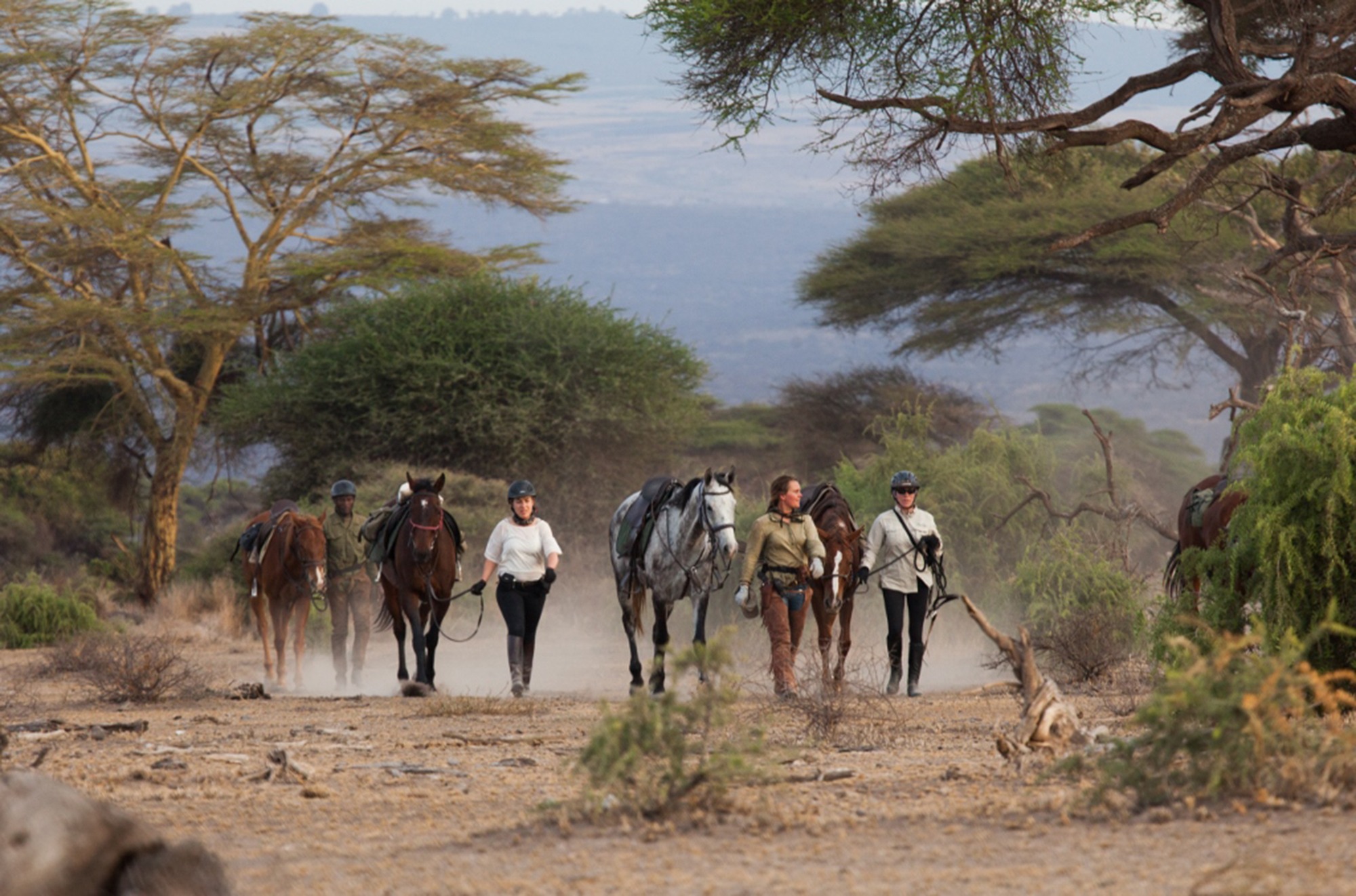 beste tiden å dra på safari i Tanzania