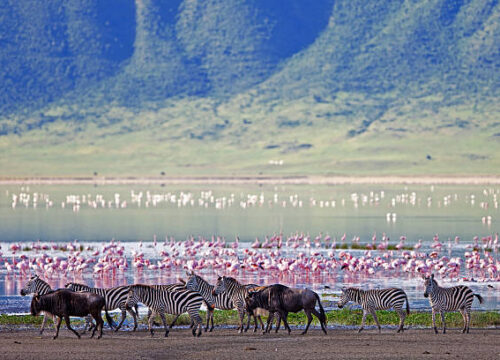ngorongoro crater