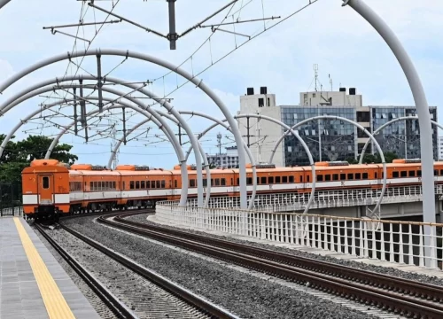 2-Day Mikumi National Park Safari by SGR Train from Dar es Salaam