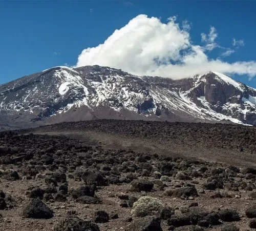 kilimanjaro climbing cost