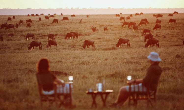 Tanzania Safari vs Kenya Safari (2026/2027): Which Destin