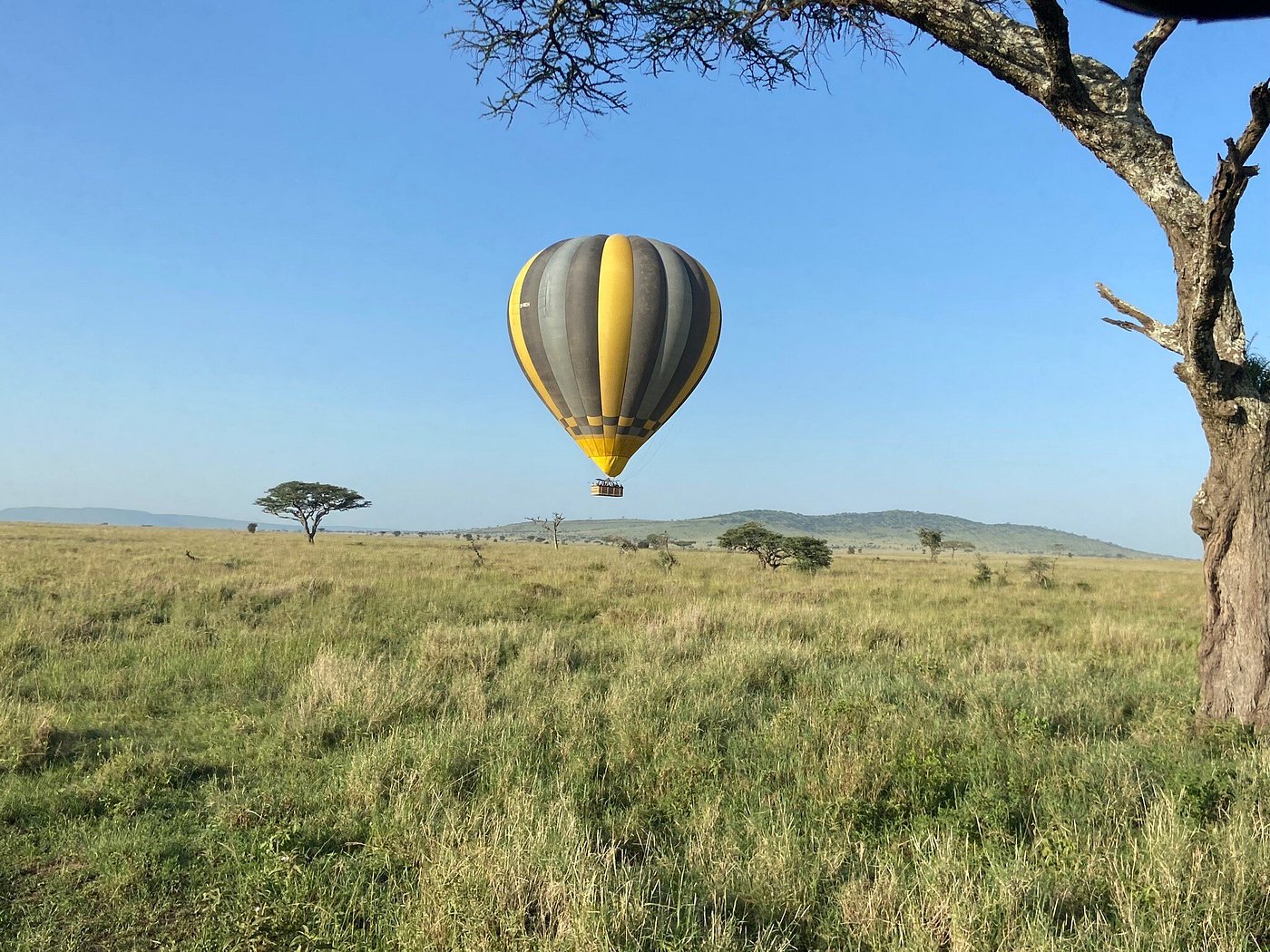 8-Day Northern Safari & Zanzibar